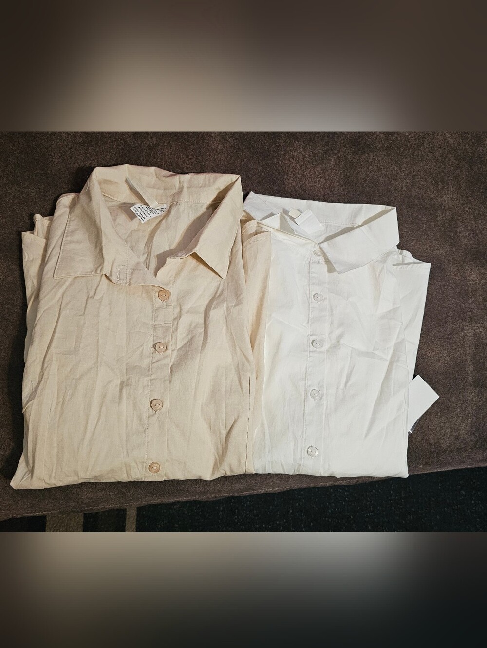 Women's Button-Down Shirts - Cream & White, Classic Collared Tops XL